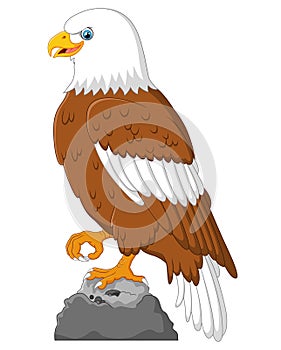 Cartoon eagle posing
