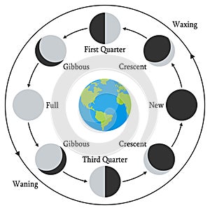 Cartoon Earth with Moon Phases