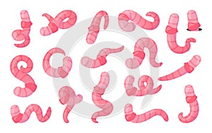 Cartoon earthworm. Cartoon farm and garden earth worm. Fishing bait. Squirming insects. Pink soil crawlers. Wild animals