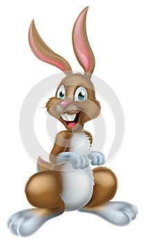 Cartoon Easter Bunny