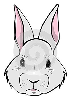 Cartoon Easter bunny face.Vector.