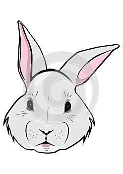 Cartoon Easter bunny face.Vector.