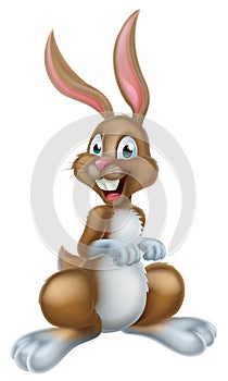 Cartoon Easter Bunny photo