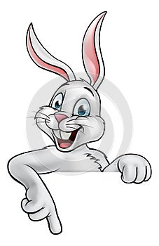 Cartoon Easter Bunny Rabbit