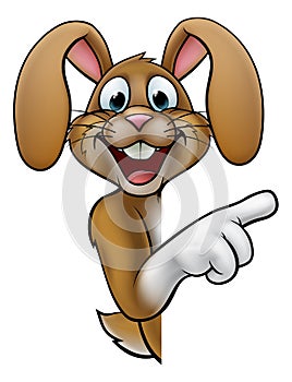 Cartoon Easter Bunny Rabbit Pointing