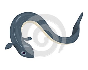 Cartoon eel, dark gray with white underbelly, friendly face. Marine life, cute aquatic animal vector illustration