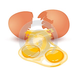 Cartoon egg with double yolks