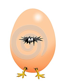 Cartoon egg hatching photo