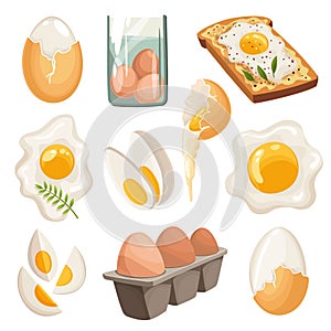 Cartoon eggs isolated on white background. Set of fried, boiled, cracked eggshell, sliced eggs and chicken eggs in box