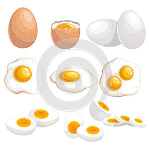 Cartoon eggs set. Whole, fresh, boiled, fried, double eyed eggs. Single and group. Sliced and whole. Vector illstrations