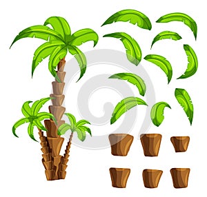 Cartoon elements the palm trees on a white background. Set of objects of a tropical tree trunk and green leaves