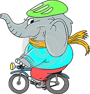 Cartoon elephant wearing a hat and a scarf riding a bicycle vector illustration