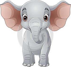 Cartoon elephant on white background