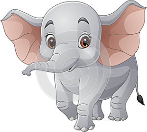 Cartoon elephant on white background