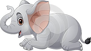 Cartoon elephant on white background