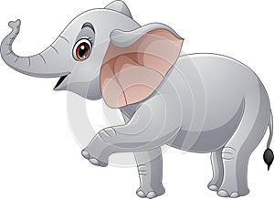 Cartoon elephant on white background