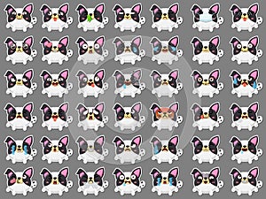 Cartoon emoji squirrels set icons stickers emoticons. Cartoon animal characters different emotions. Symbols digital chat objects.