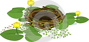Cartoon empty bird nest and yellow water-lily plants with green leaves and yellow flowers