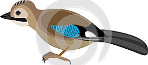 Cartoon Eurasian jay Garrulus glandarius