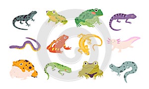 Cartoon exotic amphibian and reptiles, lizards, newts, toads and frogs. Tropical animals, gecko, triton, salamander and axolotl