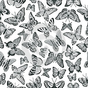 Cartoon exotic butterfly insects silhouettes seamless pattern. Elegant butterflies monochrome print, flying insects vector