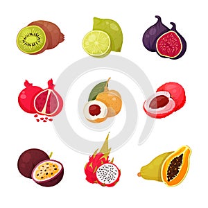 Cartoon exotic fruit set sliced