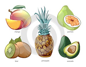 Cartoon exotic tropic fruits vector icons set