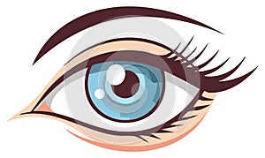 Cartoon eye illustration with eyelashes, eyebrow, and light blue iris