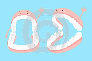 Cartoon false tooth with gums