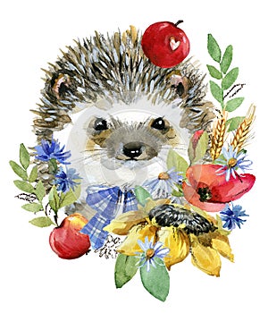 Cartoon farm animal illustration. cute watercolor hedgehog