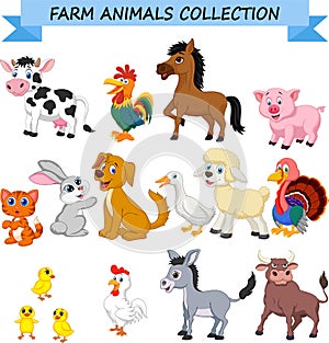 Cartoon farm animals collection