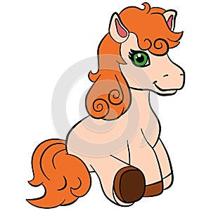 Cartoon farm animals for kids. Little cute pony.