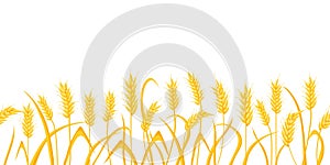 Cartoon farm field background with golden wheat spikes. Agriculture cereal crop ears. Rural scene with grain harvest