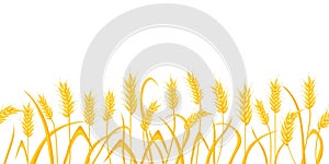 Cartoon farm field background with golden wheat spikes. Agriculture cereal crop ears. Rural scene with grain harvest vector border