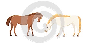 Cartoon farm isolated vector hoses. Collection of animal horse standing . Different silhouette