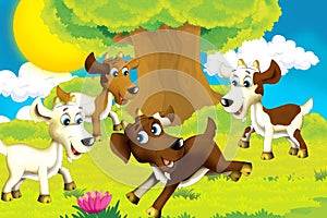 Cartoon farm scene with animal goat having fun