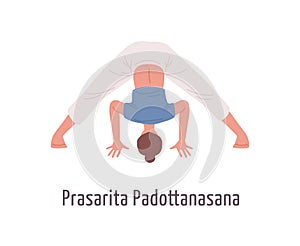 Cartoon female in prasarita padottanasana position vector flat illustration. Sports woman at wide legged forward bend photo