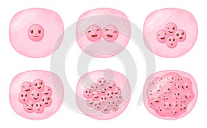 Cartoon fertilized cell. Egg cells division reproductive process animation, cute characters face collagen fission zygote photo
