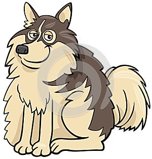Cartoon Finnish Lapphund purebred dog comic character