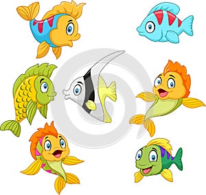 Cartoon fish collection set isolated on white background