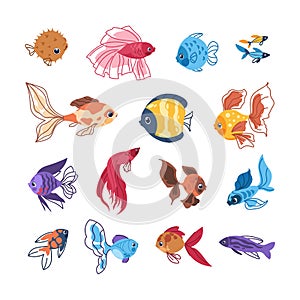 Cartoon fish. Colorful sea animals. Hand drawn clipart of tropical underwater inhabitants. Isolated decorative aquarium