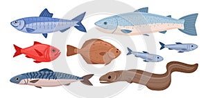 Cartoon fish. Sea food tuna, trout, flounder and eel, ocean fish, delicious ocean seafood flat vector illustration set