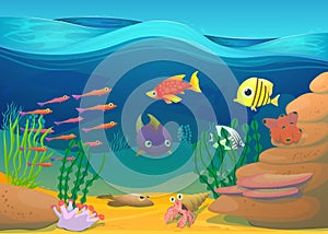 Cartoon fish with seaweed illustration