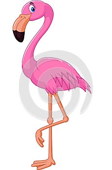 Cartoon flamingo bird