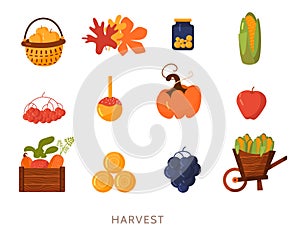 Cartoon flat Harvest illustration set Elements Vector Set isolated on white background with corn, pumpkin, carrot, box