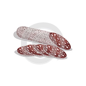 Cartoon flat style dry cured salami with slices. Italian or mediterranian meat product in bright layered cover. Vector illustratio