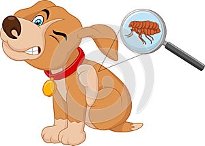 Cartoon flea infested dog