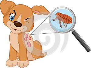 Cartoon flea infested dog photo