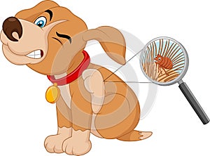 Cartoon flea infested dog photo