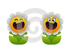 Cartoon flower smiling two types chamomile